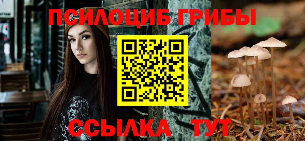 Псилоцибиновые грибы мицелий  Псилоцибиновые грибы Magic Shrooms  Узловая  Вход с VPN 